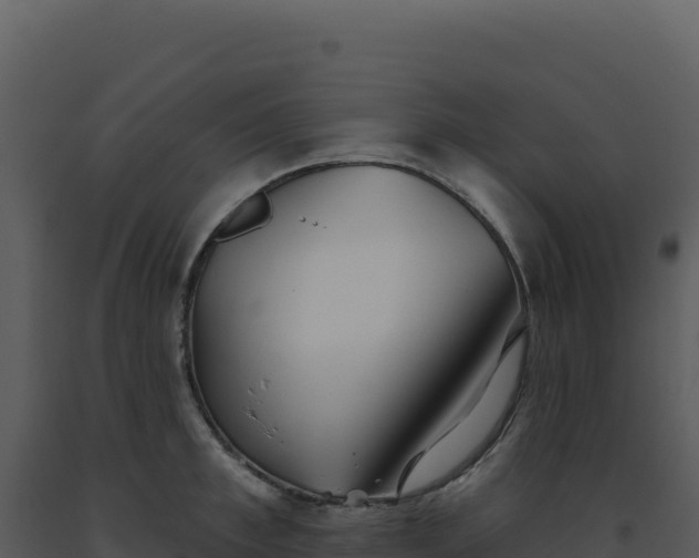 X0000093500997200710191245