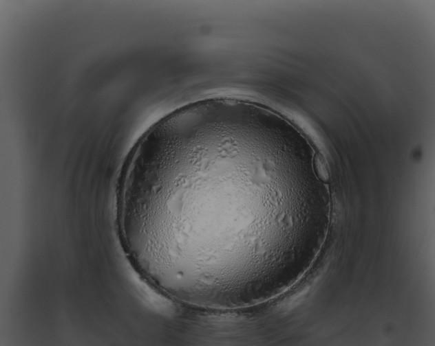 X0000093500999200710191245