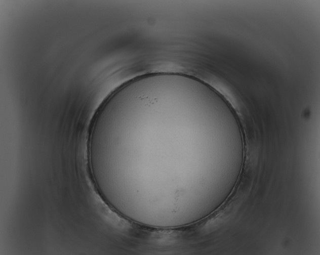 X0000093501000200710191245