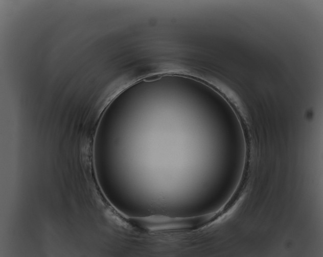 X0000093501001200710191245