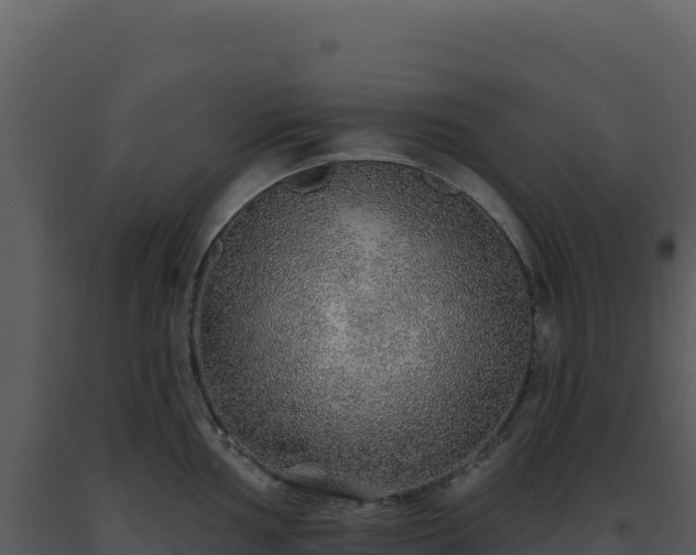 X0000093501002200710191245