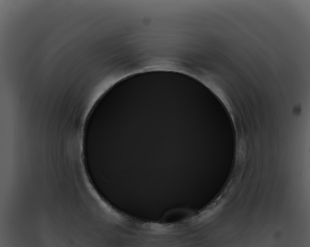 X0000093501005200710191245