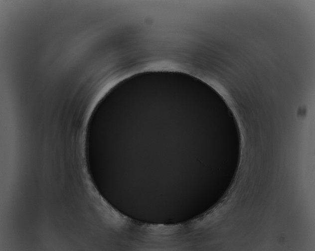 X0000093501008200710191245