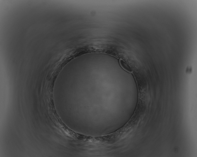 X0000093501009200710191244