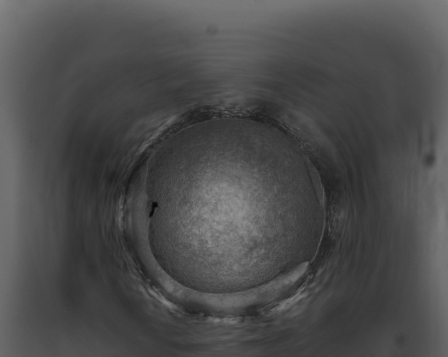 X0000093501010200710191244