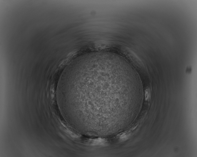 X0000093501011200710191244