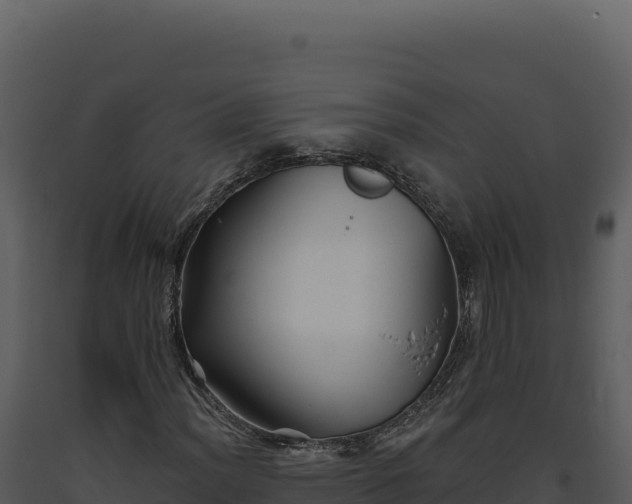 X0000093501012200710191244