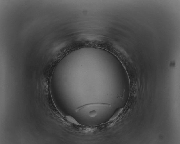 X0000093501013200710191244