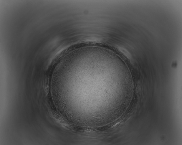 X0000093501015200710191244
