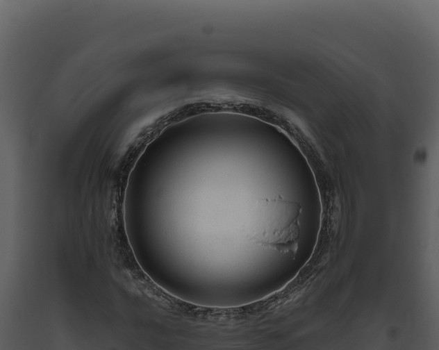 X0000093501016200710191244