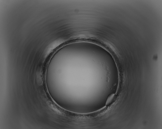 X0000093501018200710191244