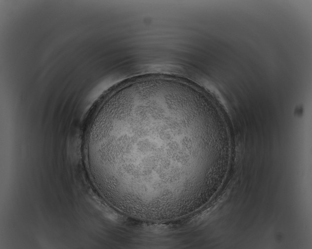 X0000093501019200710191244
