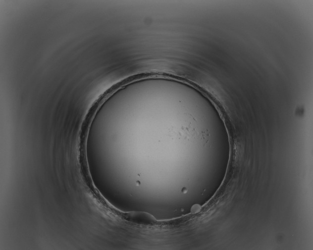 X0000093501020200710191244