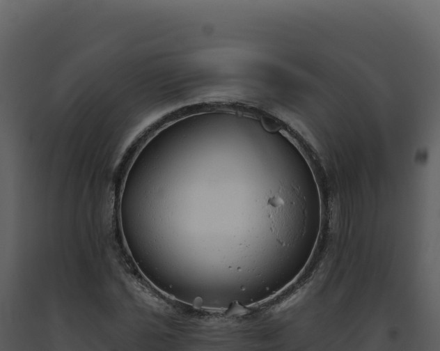 X0000093501021200710191244