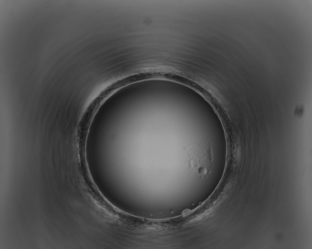 X0000093501022200710191244