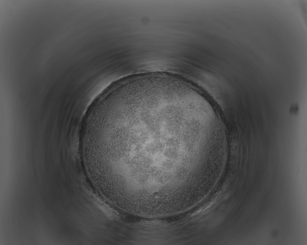 X0000093501023200710191244