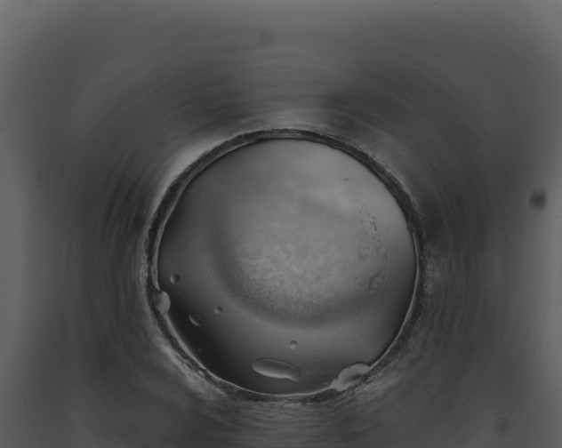 X0000093501024200710191244