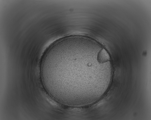 X0000093501027200710191244
