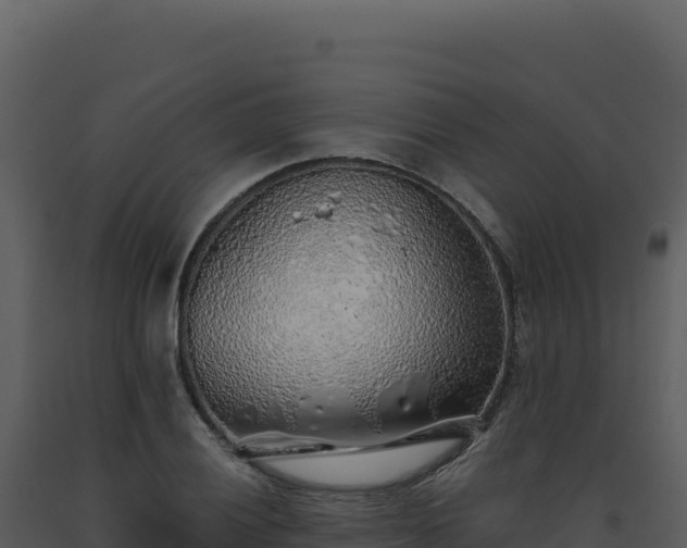 X0000093501028200710191244