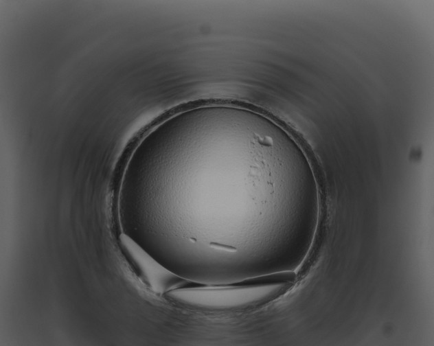 X0000093501029200710191244