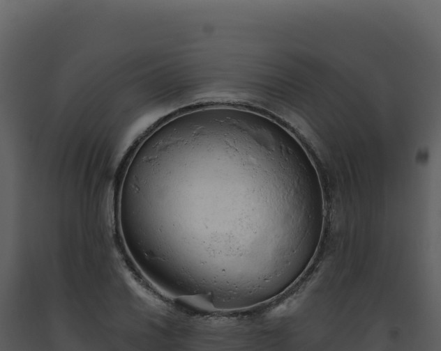 X0000093501030200710191244