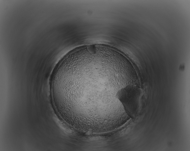 X0000093501031200710191244