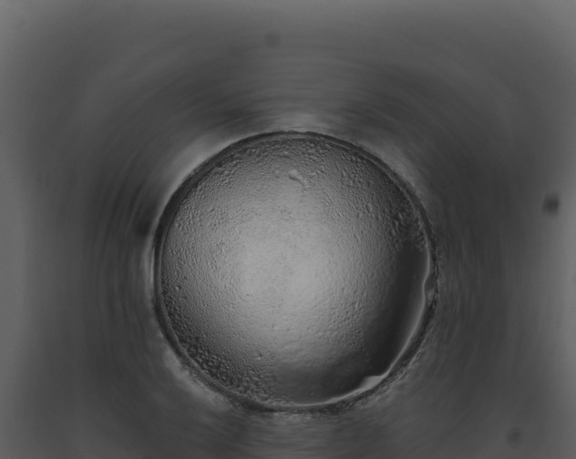 X0000093501032200710191245