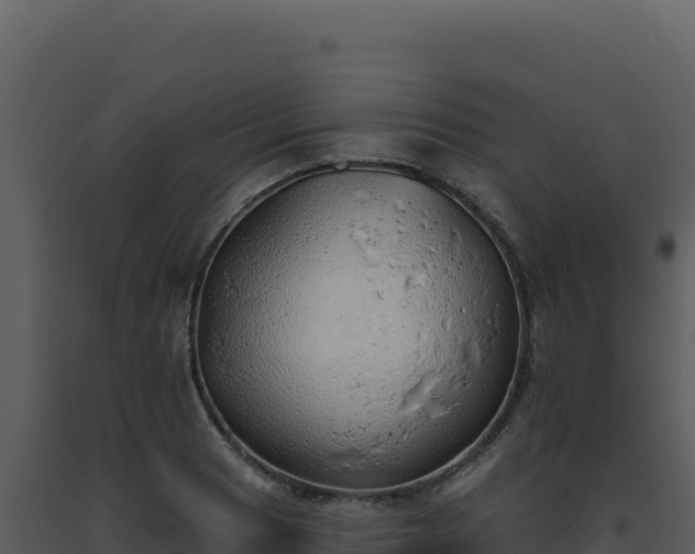 X0000093501033200710191245