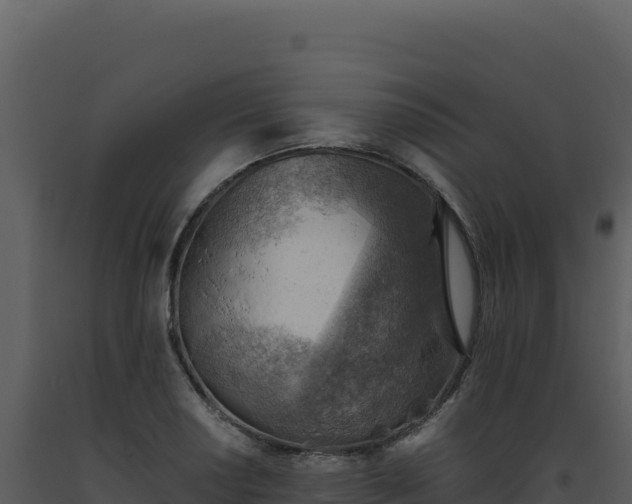 X0000093501034200710191245