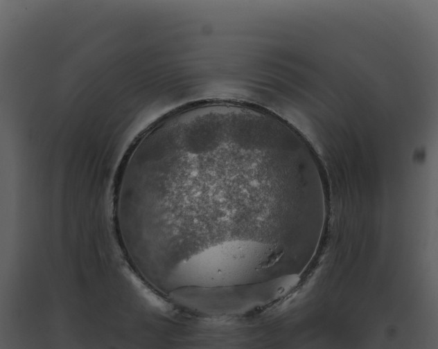 X0000093501037200710191245