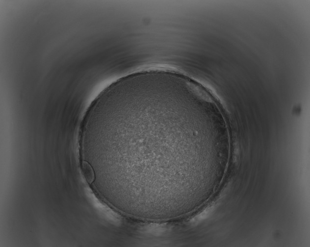 X0000093501038200710191245