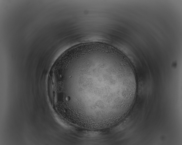 X0000093501039200710191245