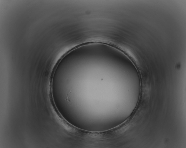X0000093501040200710191245