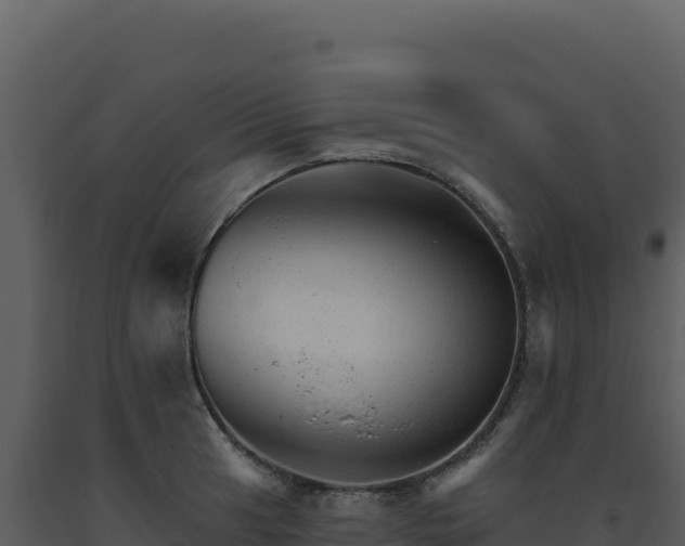 X0000093501041200710191245