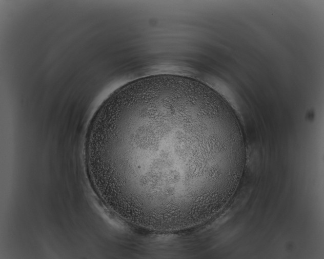 X0000093501043200710191245
