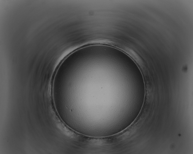 X0000093501044200710191245