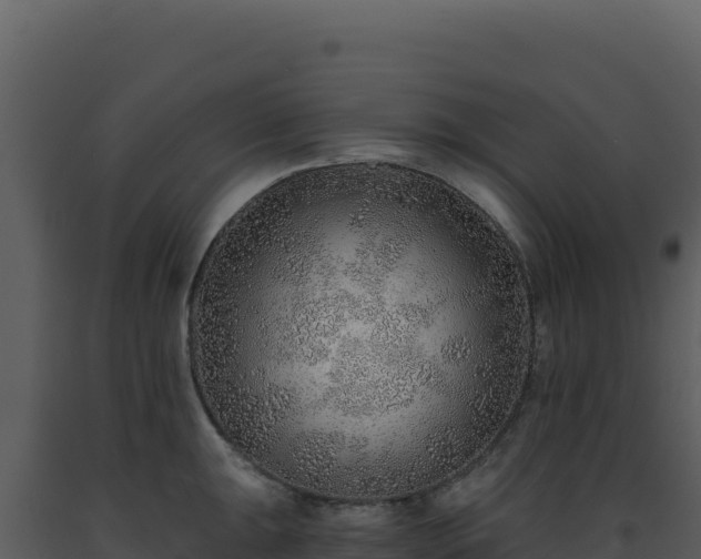 X0000093501047200710191245