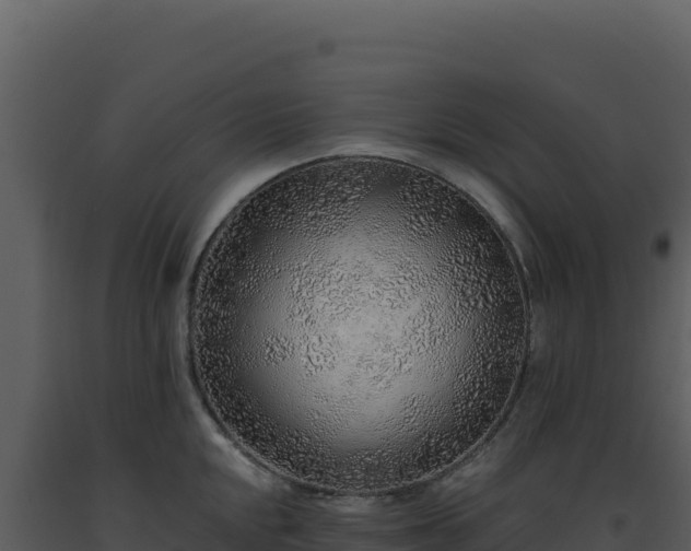 X0000093501048200710191245
