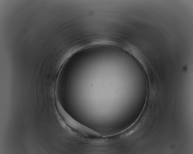 X0000093501049200710191245