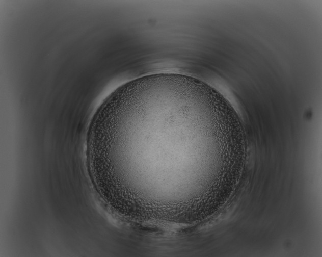 X0000093501051200710191245
