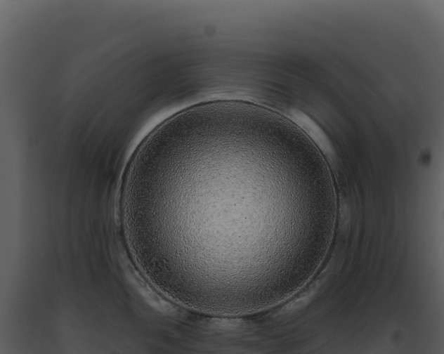 X0000093501052200710191245