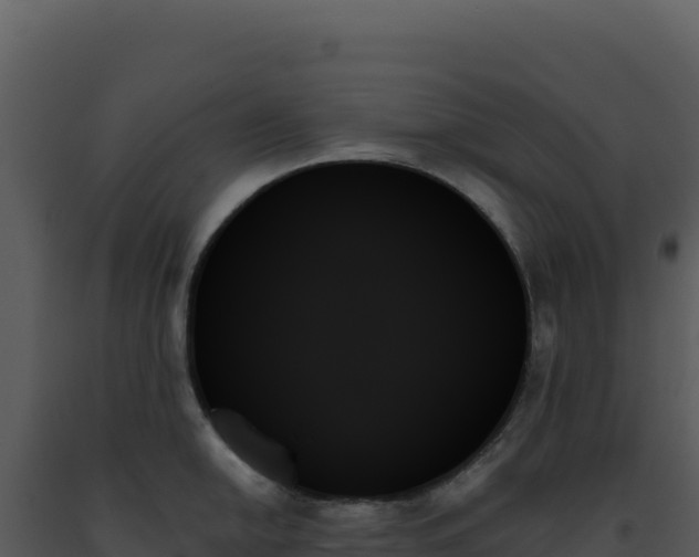 X0000093501054200710191245
