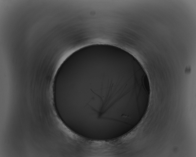 X0000093501056200710191245