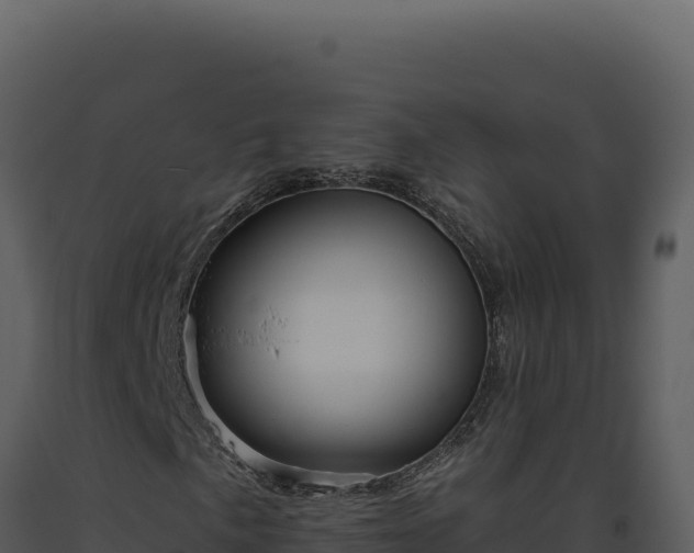 X0000093501057200710191244