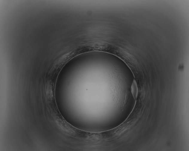 X0000093501058200710191244