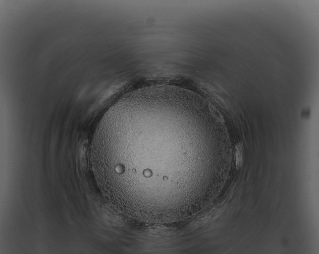 X0000093501059200710191244