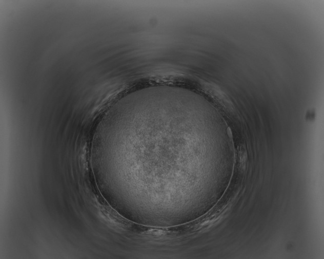 X0000093501060200710191244