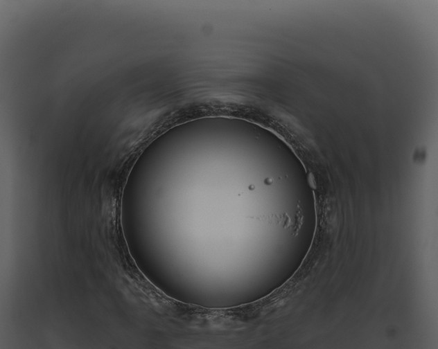 X0000093501061200710191244