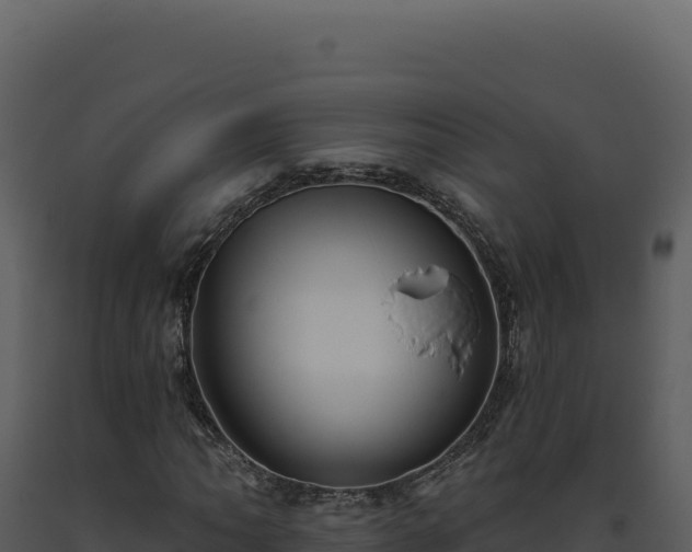 X0000093501062200710191244