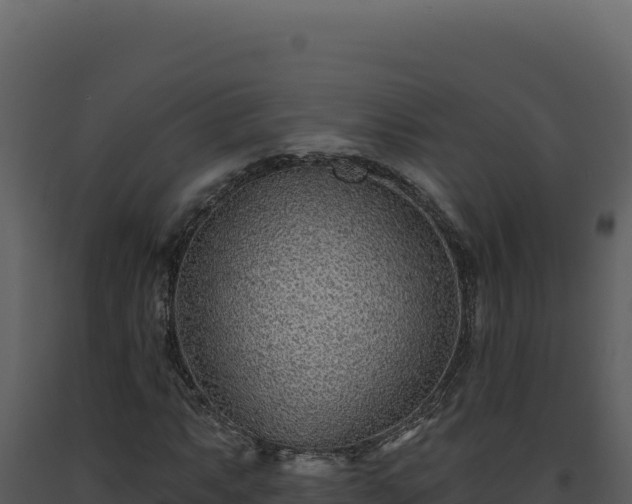 X0000093501063200710191244